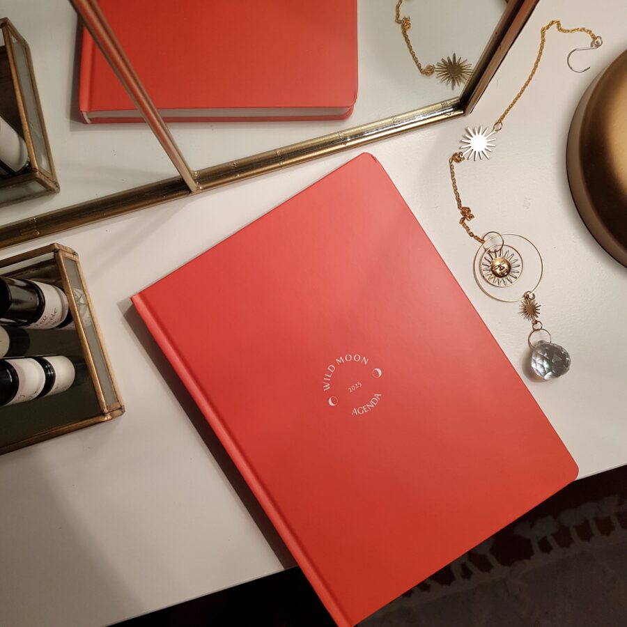Wild Moon Agenda, Zyklusagenda 2025, Zyklusplaner, Zyklustracker, Frauengesundheit, Menstruationsbeschwerden, Menopause, Mondkalender, Feminine Way